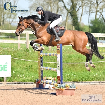 Glory for Benjamin Bick & If Evers Girl M.S in the Opening Events Through A Lens Talent Seeker Incorporating the 7-Year-Old Championship Qualifier at Chard Equestrian