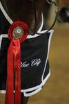 BLUE CHIP WINTER SHOW JUMPING CHAMPIONSHIPS