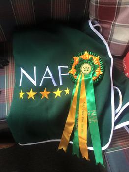 Northern Rider Alex wins NAF 5 STAR Final