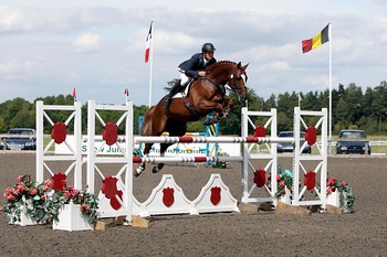 Showjumping Stallion HFS Valentino Achieves AES Approved Status Showjumping Stallion HFS Valentino Achieves AES Approved Status