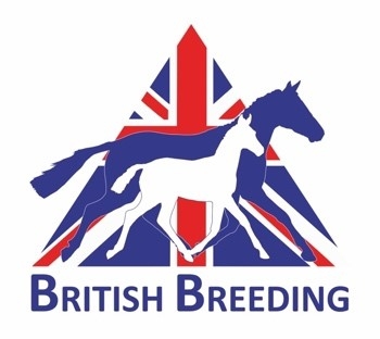  British Breeding Re-Launch Equine Bridge 