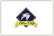 The Blue Chip Winter Show Jumping Championships 2015