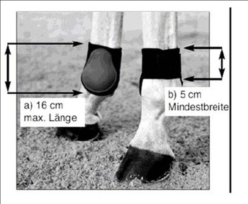 Horse Boots/Leg Protection