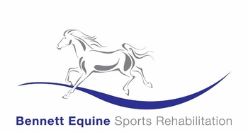 Region’s Club Shows gain support from Bennett Equine