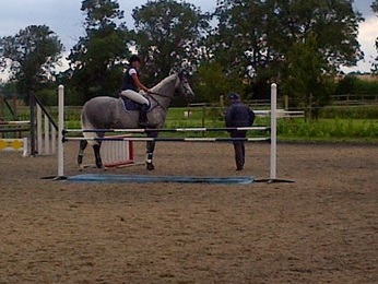 Young Horse Training 2014 Young Horse Training 2014