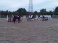 Area Training in Derbyshire