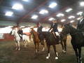 Horse World Club Show