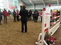 Judges get a good Schooling