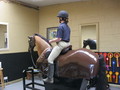 Mechanical Horse Training!