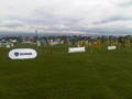 HELP REQUIRED FOR THE NORTH CUMBRIA AREA SHOW