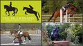 INCHCOONANS EQUESTRIAN - NEW BRITISH SHOWJUMPING VENUE 