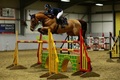 Lancashire (17) Area Show Results