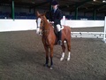 Maddy Carpenter Wins the 70cms Club Show at Brook Farm Essex