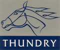 Showjumping Clinics - Thundry Farm Livery & Training Yard. Elstead, Surrey