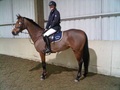 Alice Ellison at the Bedfordshire Area Show at Keysoe