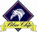 Blue Chip Feed Balancer Pony Newcomers Second Round at The College Equestrian Centre - Congratulations to Jared Lunn from Essex!!