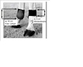 Leg Protection/Boots New Ruling