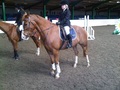 Well Done to Bunty Pipe at Brook Farm Essex 