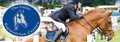YOUNG & NOVICE HORSE DEVELOPMENT TRAINING DAY - THE CABIN - INVERURIE