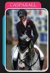 Olivia Dale's round up from Lanaken and HOYS