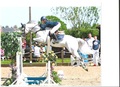 Congratulations to Ellie Archdeacon who Qualifies for HOYS in the Newcomers!