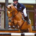 Congratulations to Ellie Archdeacon!!!............