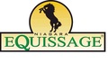 Howe Country Centre Show Equissage Discovery Second Round 
