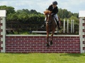 British Showjumping Report from NSJC - 17 June 2012