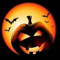 Halloween Show 2012 - Arena UK