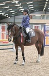 New British Showjumping Centre in Cambridgeshire