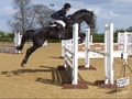Congratulations to Kara Halliday for gaining her NAF British Showjumping 1 Star Performance