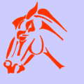 Bedfordshire Area British Showjumping Show on 03 March 2013