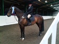 Laura Birch at British Showjumping Club Show at Brook Farm TC Essex