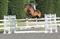 Annette Lewis riding Ulieta at the Herts/Midsex Area British Showjumping Show