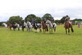 Area Team Jumping - Essex, Suffolk & Norfolk at Cherry Bee, Norfolk!