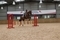 Prepare for the Winter with Mandy Frost’s training for 85cm to Newcomers