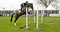 Newbury Racecourse Equestrian Day 2012