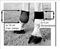 Horse Boots/Leg Protection