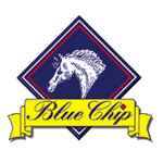 Blue Chip Feed Ltd
