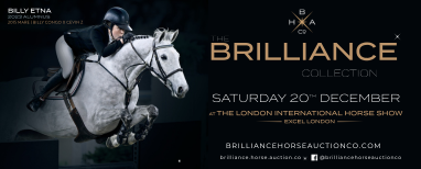 Brilliance Horse Auction Oct 225