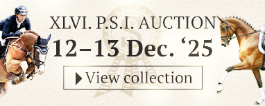 PSI AUction 2025