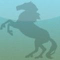 NEW APP - Virtual Horse Passport