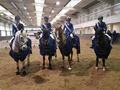Central Academy Show Winners
