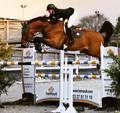 BRITISH SHOWJUMPING DORSET AREA ARE EXCITED TO ANNOUNCE OUR SECOND COACH FOR OUR RESIDENTIAL CAMP IN APRIL IS THE FANTASTIC