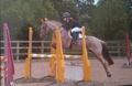 Young Showjumper Emily Smart Shines for the South West