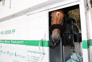 Rolex Grand Slam of Showjumping: “Hello Sanctos” takes off!