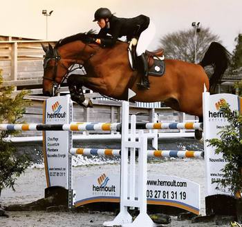 BRITISH SHOWJUMPING DORSET AREA ARE EXCITED TO ANNOUNCE OUR SECOND COACH FOR OUR RESIDENTIAL CAMP IN APRIL IS THE FANTASTIC BRITISH SHOWJUMPING DORSET AREA ARE EXCITED TO ANNOUNCE OUR SECOND COACH FOR OUR RESIDENTIAL CAMP IN APRIL IS THE FANTASTIC