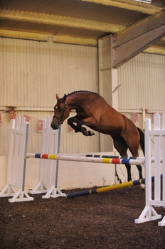 BEF FUTURITY 2012 DATES AND VENUES