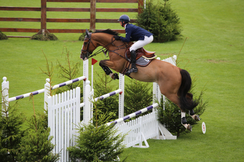 New world ranking class at the Equestrian.com Hickstead Derby Meeting New world ranking class at the Equestrian.com Hickstead Derby Meeting