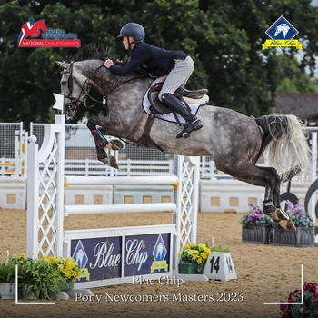 A Christmas present keeps on giving for Michael McColm with victory in the Blue Chip Feeds Pony Newcomers Masters